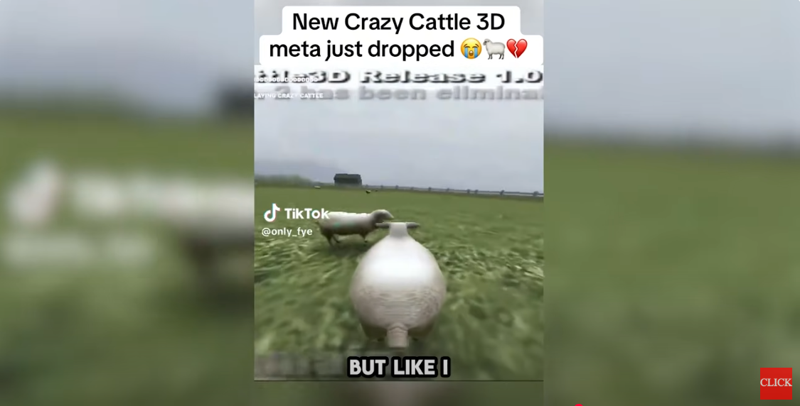 Special Move